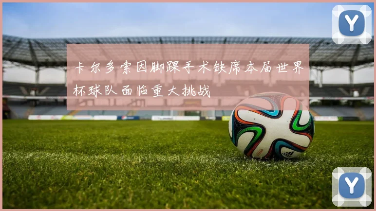 卡尔多索因脚踝手术缺席本届世界杯球队面临重大挑战