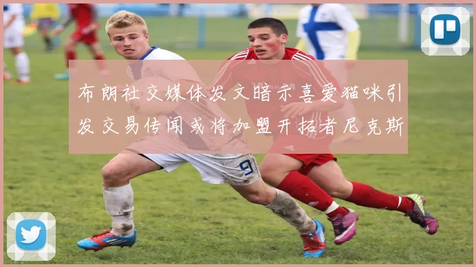 布朗社交媒体发文暗示喜爱猫咪引发交易传闻或将加盟开拓者尼克斯雷霆湖人